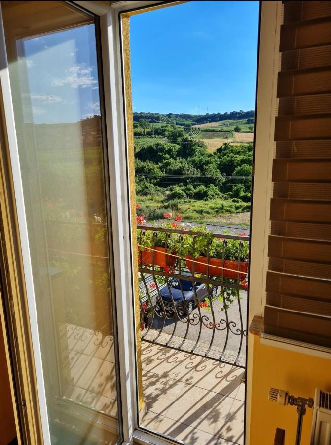 Vila Belilo Sremski Karlovci Exteriér fotografie